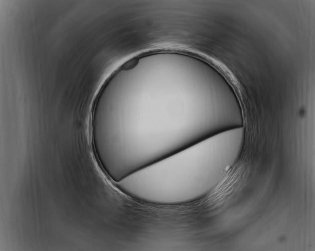 X0000100781295200806191008