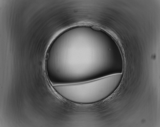 X0000100781296200806191008