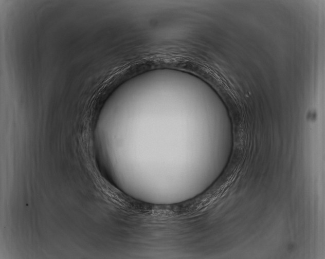 X0000100781297200806191007
