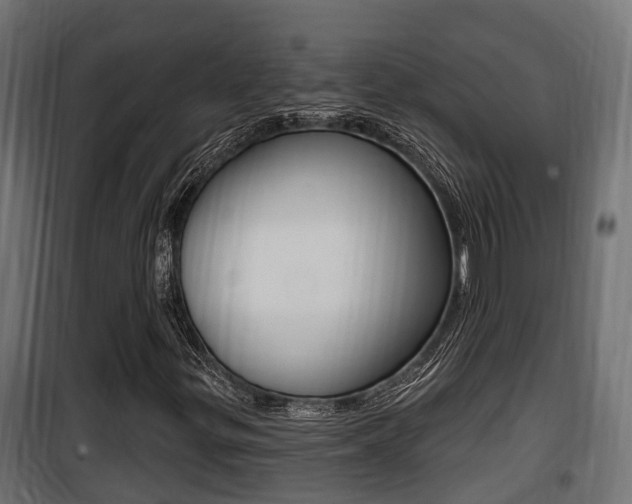 X0000100781299200806191007