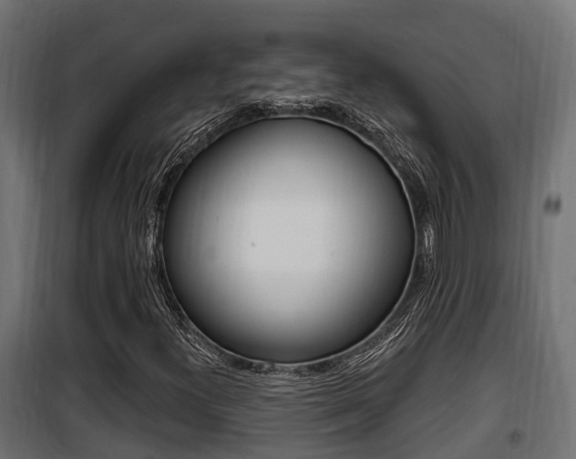 X0000100781300200806191007