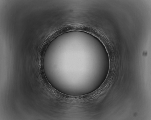 X0000100781301200806191007