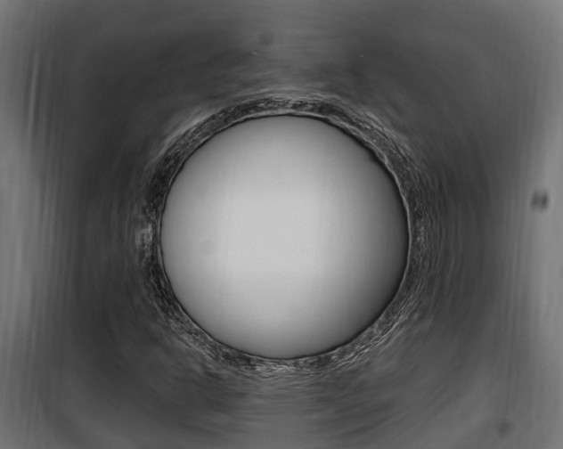 X0000100781302200806191007