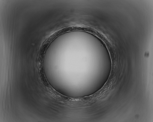X0000100781303200806191007
