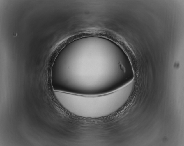 X0000100781304200806191007