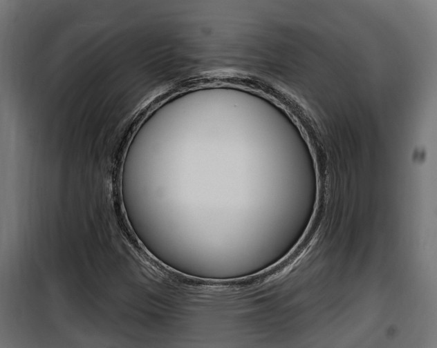 X0000100781305200806191007