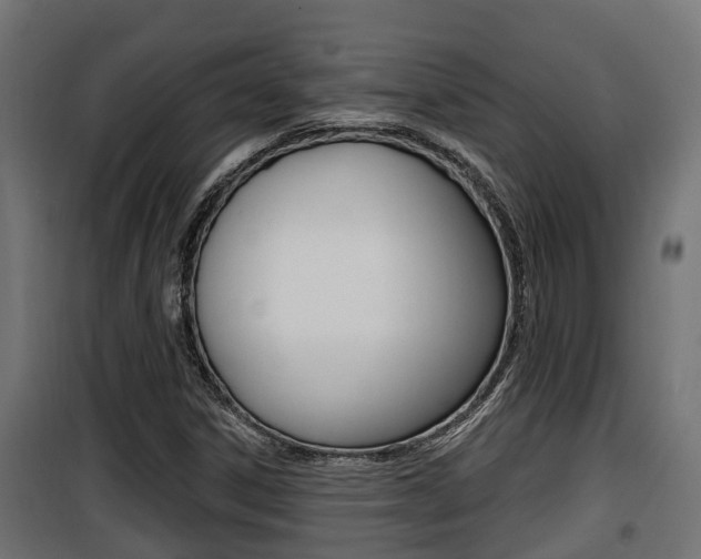 X0000100781306200806191007