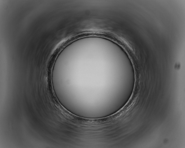 X0000100781307200806191007