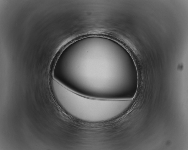 X0000100781308200806191007