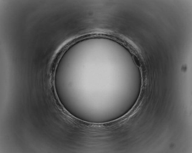 X0000100781310200806191007