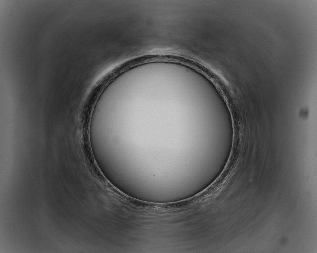 X0000100781311200806191007