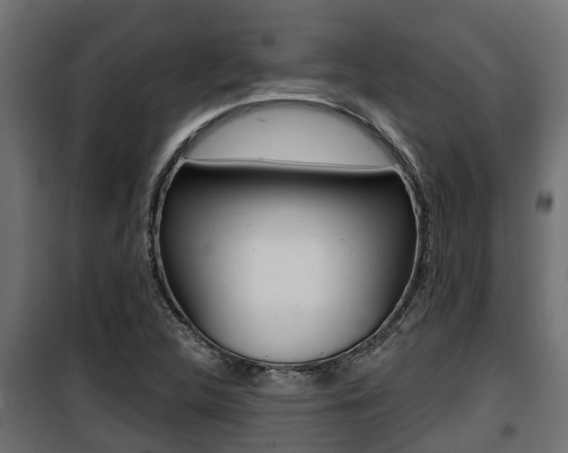 X0000100781312200806191007