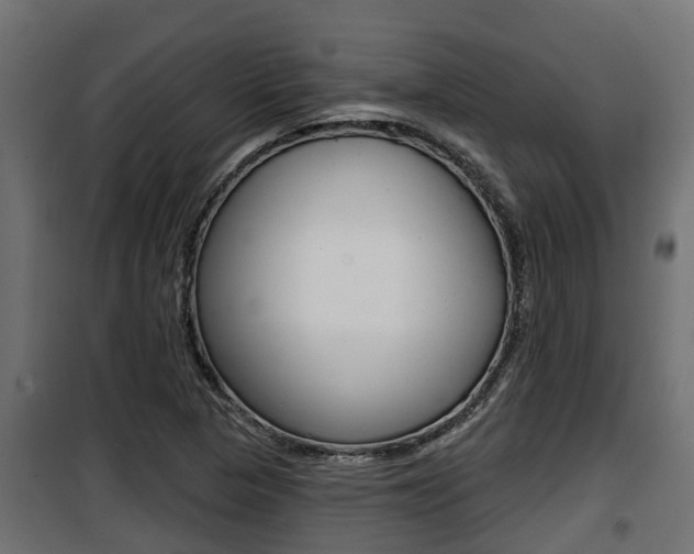 X0000100781313200806191007