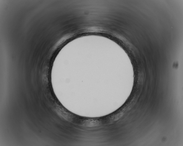 X0000100781314200806191007
