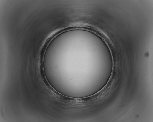 X0000100781315200806191007