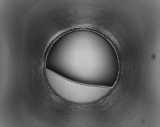 X0000100781316200806191007