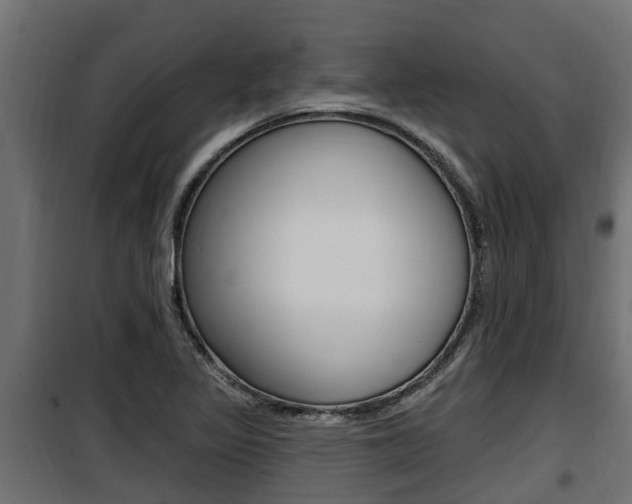 X0000100781317200806191007