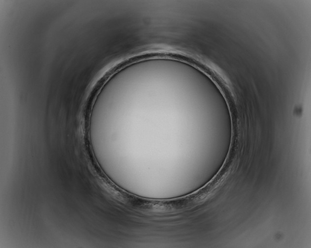 X0000100781318200806191007