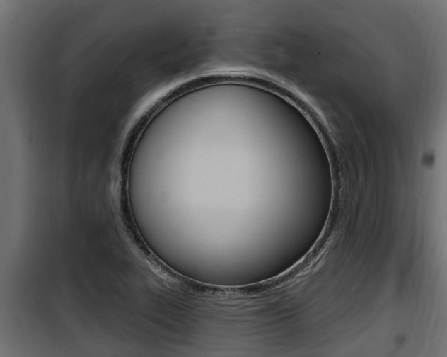 X0000100781319200806191007
