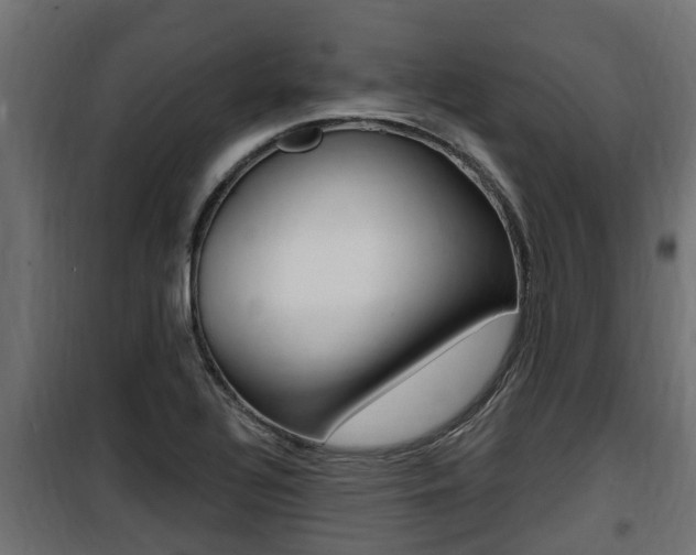 X0000100781320200806191007
