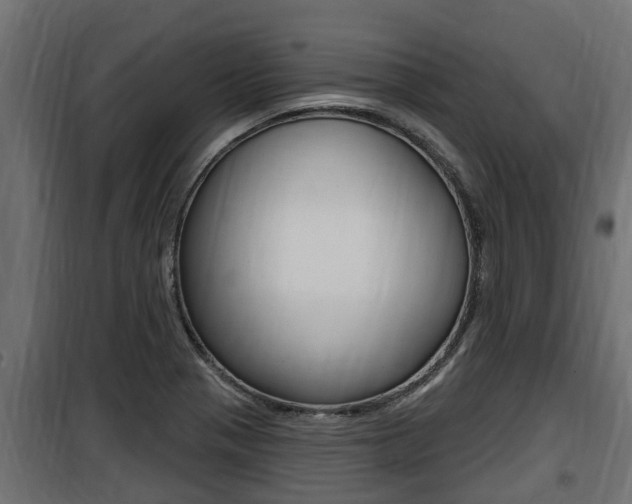 X0000100781321200806191007