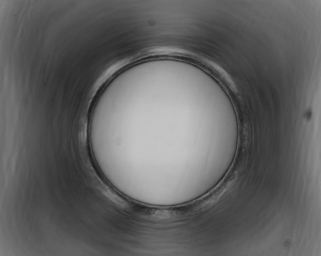 X0000100781322200806191007