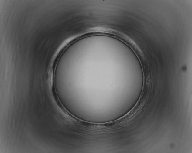X0000100781323200806191007