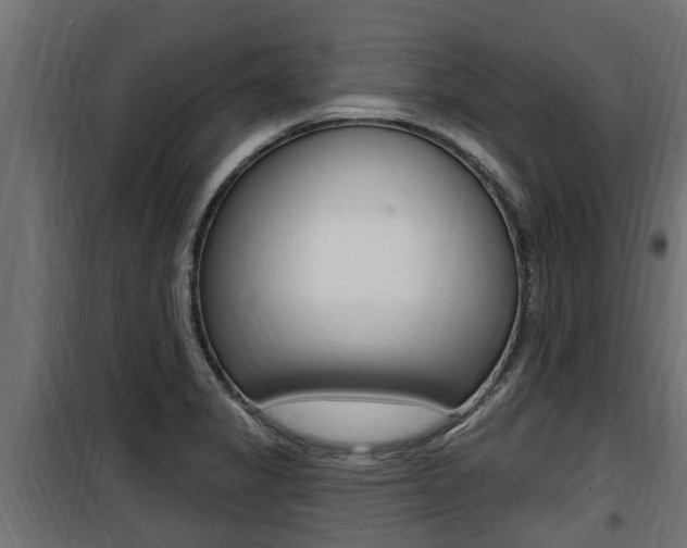 X0000100781325200806191007