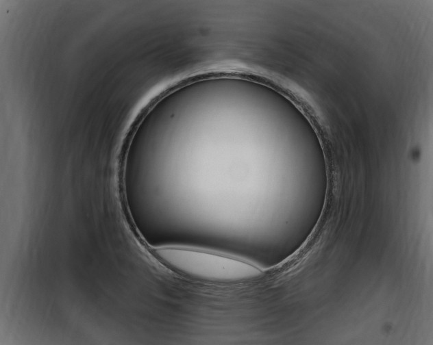 X0000100781326200806191007