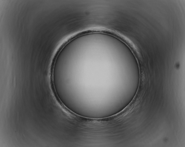 X0000100781327200806191007