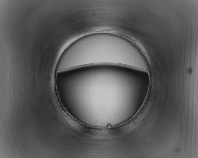 X0000100781328200806191007
