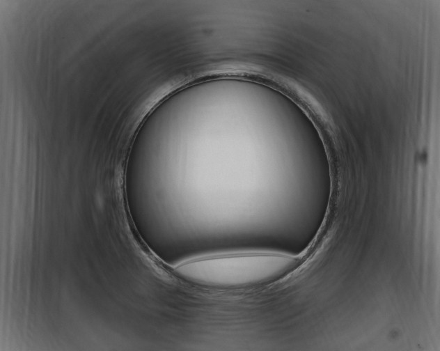 X0000100781329200806191007