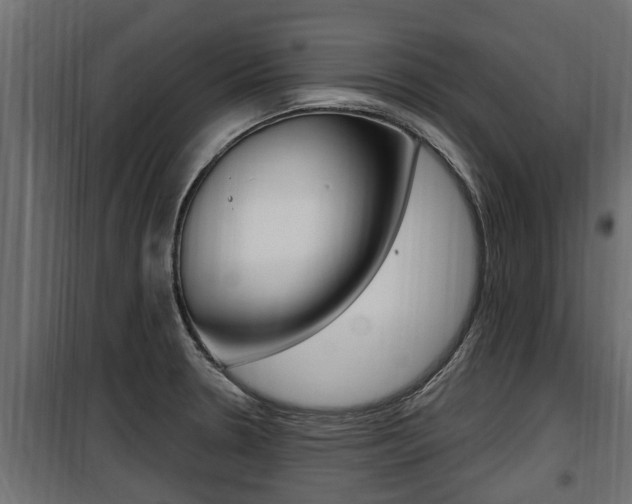 X0000100781330200806191007