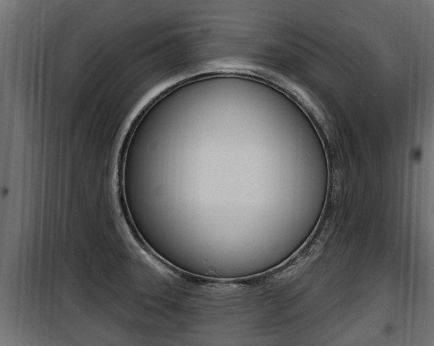 X0000100781331200806191007