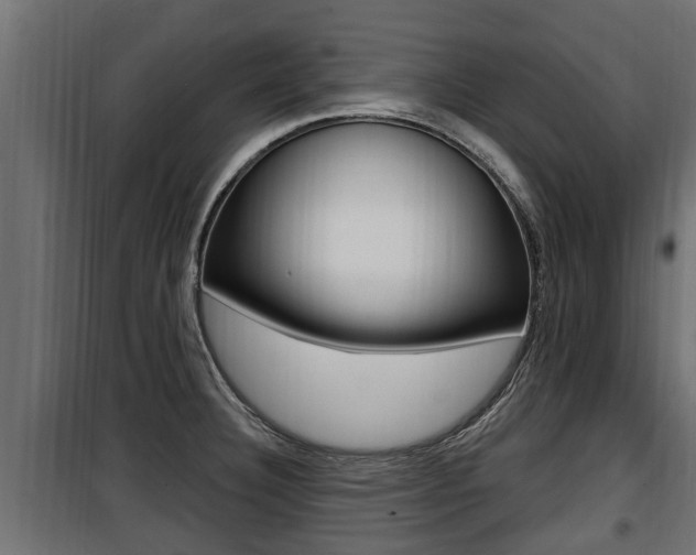 X0000100781332200806191007