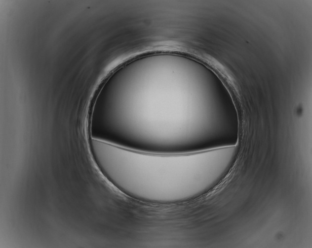X0000100781334200806191007