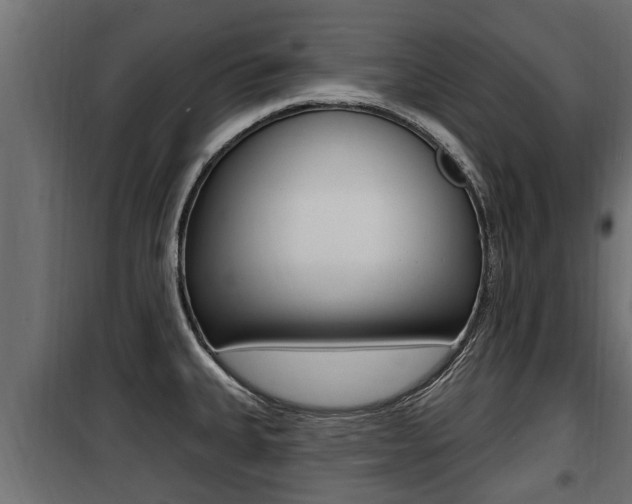 X0000100781335200806191007