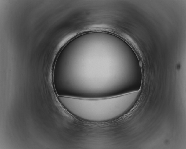 X0000100781336200806191007