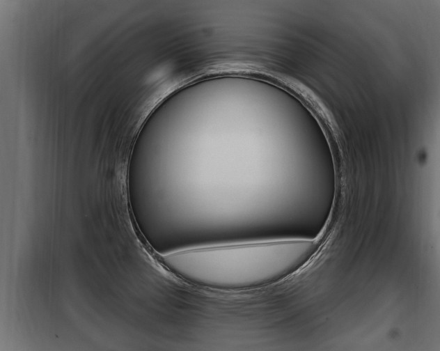 X0000100781337200806191007