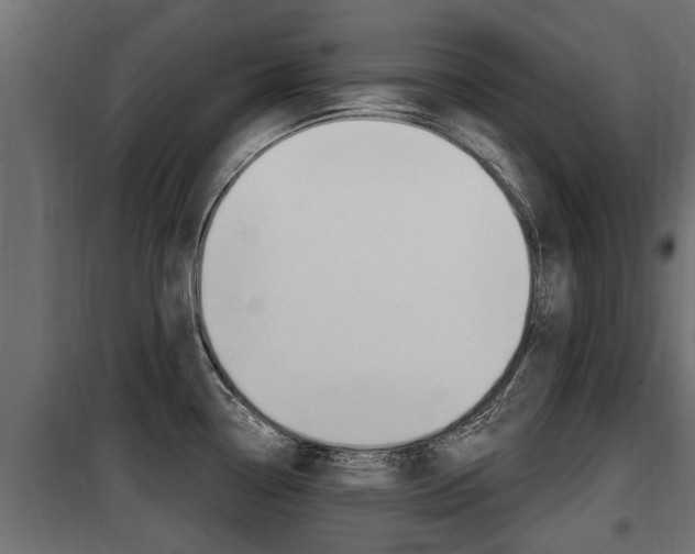 X0000100781338200806191007