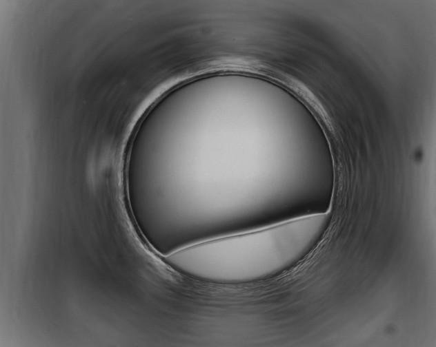 X0000100781339200806191007