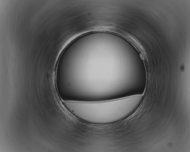 X0000100781340200806191007