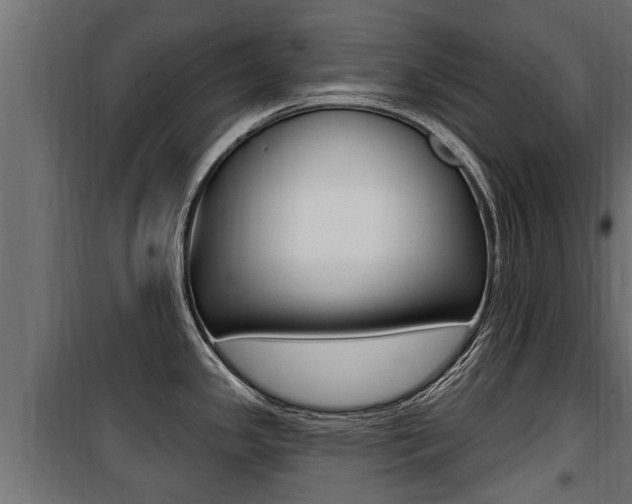 X0000100781341200806191007