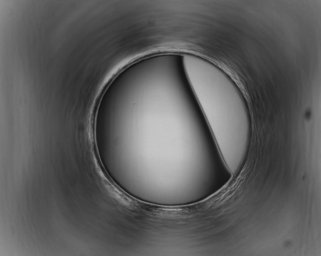 X0000100781342200806191007
