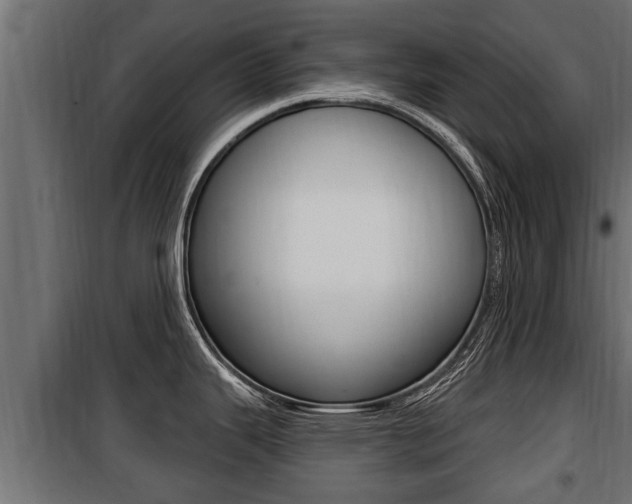 X0000100781343200806191007