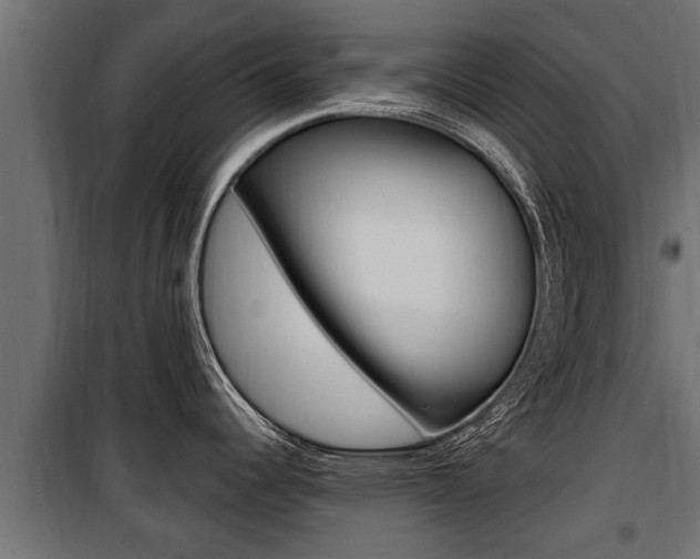 X0000100781344200806191007