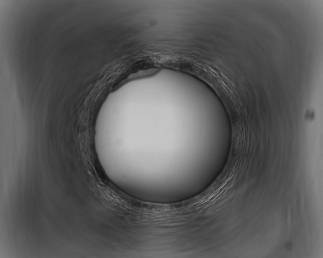 X0000100781345200806191007