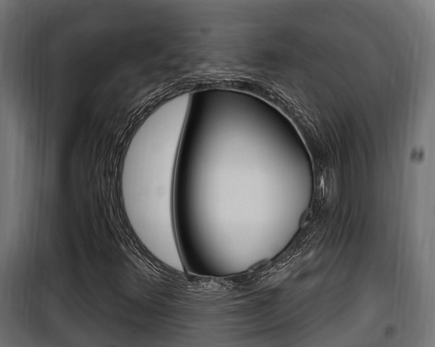 X0000100781348200806191007
