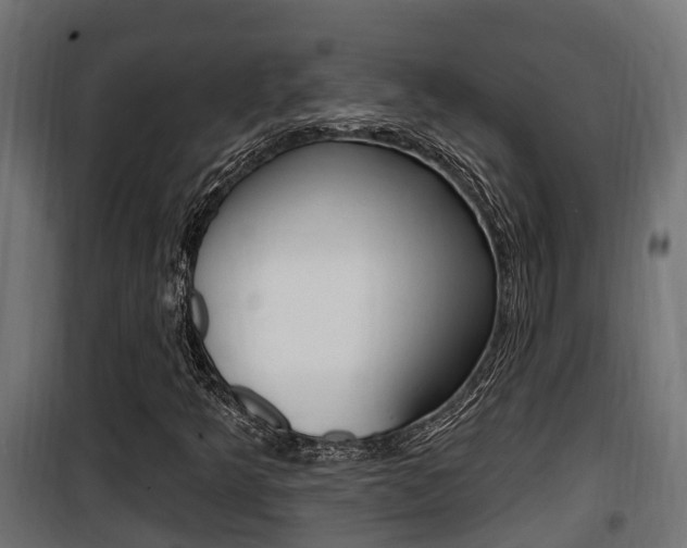X0000100781349200806191007