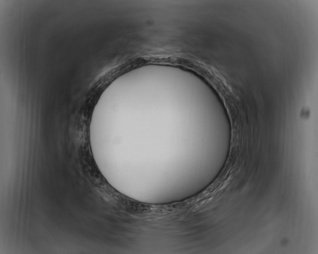 X0000100781350200806191007